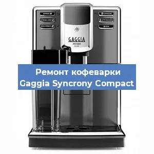 Чистка кофемашины Gaggia Syncrony Compact от кофейных масел в Новосибирске